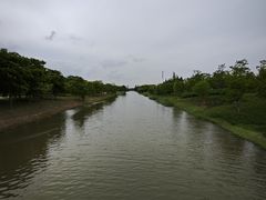 -上海滨江森林公园
