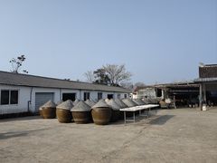 -苏州市吴中区光福窑上花果蜜饯厂