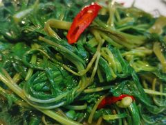 时令蔬菜-乡乐园蟹庄·阳澄湖农家乐