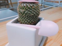 餐具摆设-执茶识麦(万达华府店)