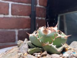 -青木造型HAIR·あおき髪を刈る潮人店