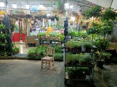 -循礼门鲜花花市(武汉循礼门店)