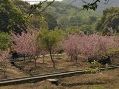 -白马涧龙池景区