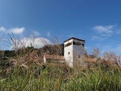 -济州森林小火车生态公园