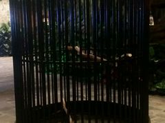 -泉城欧乐堡戏水湾艺术养生温泉