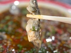 -陈胖子鱼庄(黄辣丁新津店)