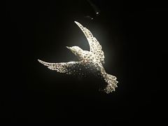 -上海当代艺术博物馆