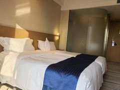-都江堰中心国际酒店