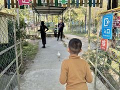 -广东花都香草世界旅游度假区