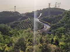 -五龙城郊森林公园