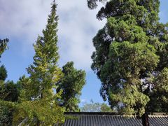 -老君山