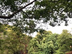 -申粤轩酒楼·三十年粤菜经典(丁香花园店)