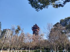-塔子山公园