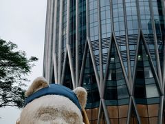 -深圳湾万象城(南山店)