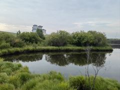 -塞罕坝国家级自然保护区