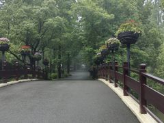 -东平国家森林公园