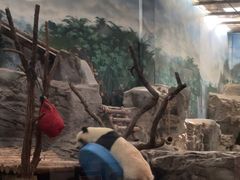 -鄂尔多斯野生动物园