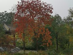 -云龙山