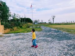 -武汉紫薇都市田园