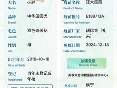 -美联众合动物医院·24h转诊中心