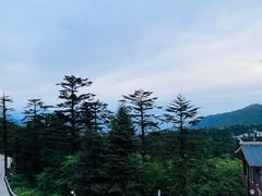 -峨眉山风景名胜区
