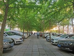 -东丽温泉羽毛球