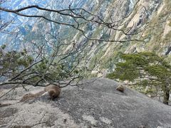 -黄山风景区