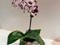 -北京植物园-展览温室