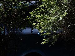 -阿诺泰·泰国餐厅(棕北店)