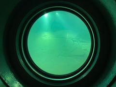 -白鹤梁水下博物馆