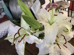 -一品格美术·中考高中成人美术培训