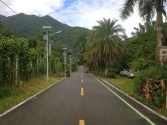 -海南热带雨林国家公园吊罗山景区