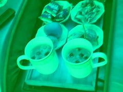 -良子足浴(湖滨店)