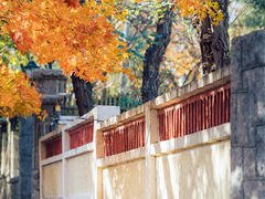-八大关景区