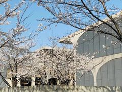 -龙美术馆(西岸馆)