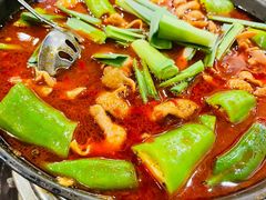湘味肥肠火锅-湘肠香火锅店(团结湖店)