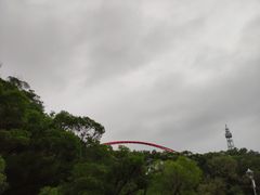 -金鸡山公园