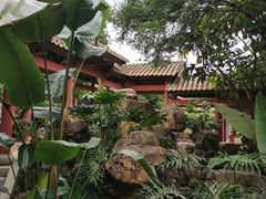 -顺峰山公园