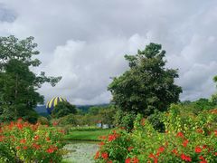 -中国科学院西双版纳热带植物园
