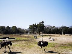 -宁波野生动物园