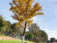 -九里河湿地公园