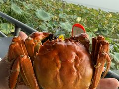 -渔娘蟹庄(阳澄湖莲花岛店)