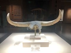 -宁夏博物馆