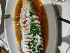 -金美华轩(东方路齐鲁店)