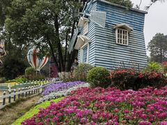 -铁山坪森林公园