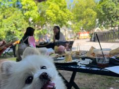 -J Create城市露营咖啡·简餐·宠物(上海动物园店)