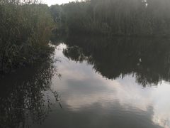 -梁鸿国家湿地公园