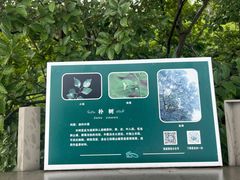 -福道