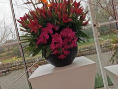 -上海鲜花港