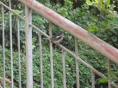 DSC00632-白城沙滩